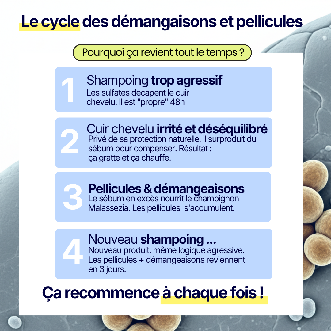 Shampoing Solide Purifiant - Pellicules & Démangeaisons