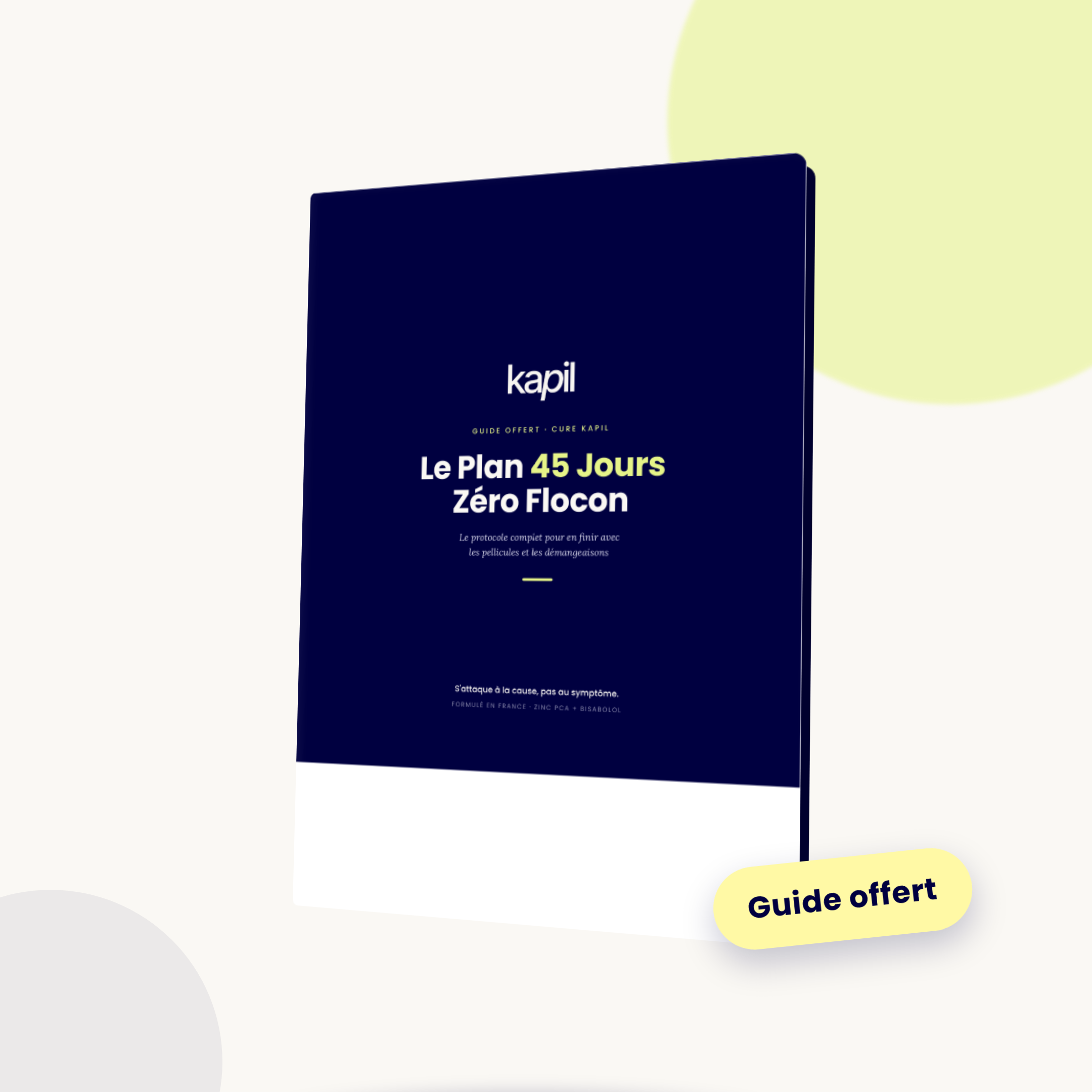 Ebook : Le plan 45 jours, 0 flocons, 0 démangeaisons.