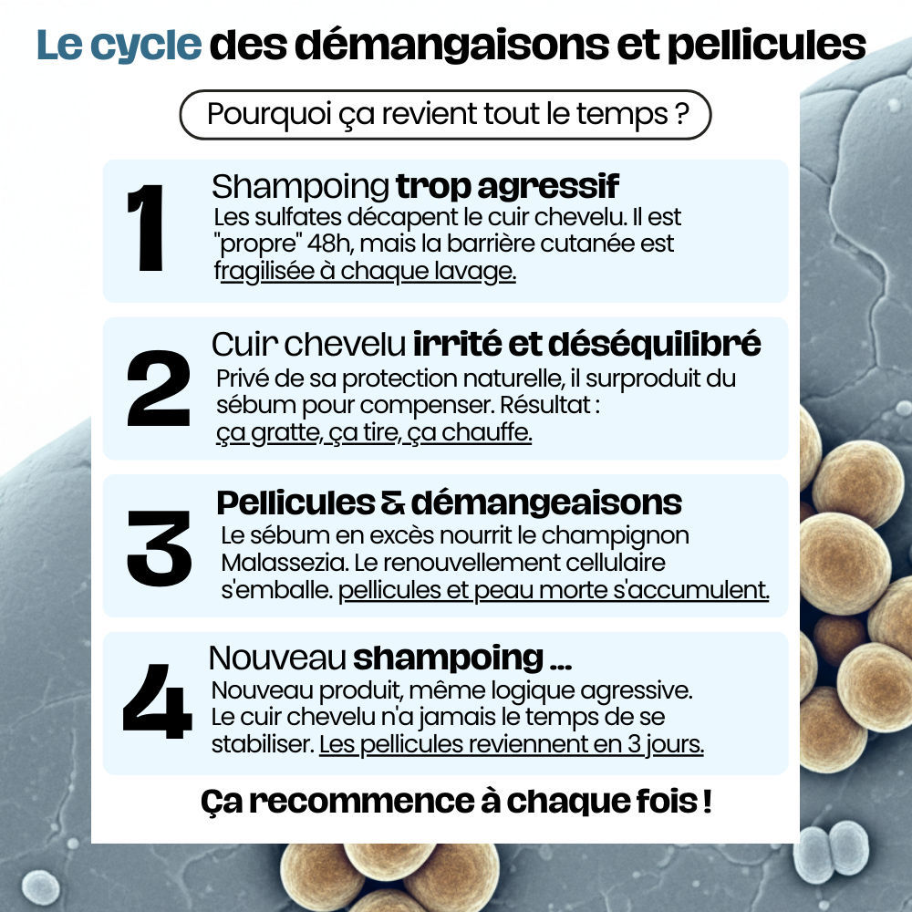 Shampoing Solide Purifiant - Pellicules & Démangeaisons